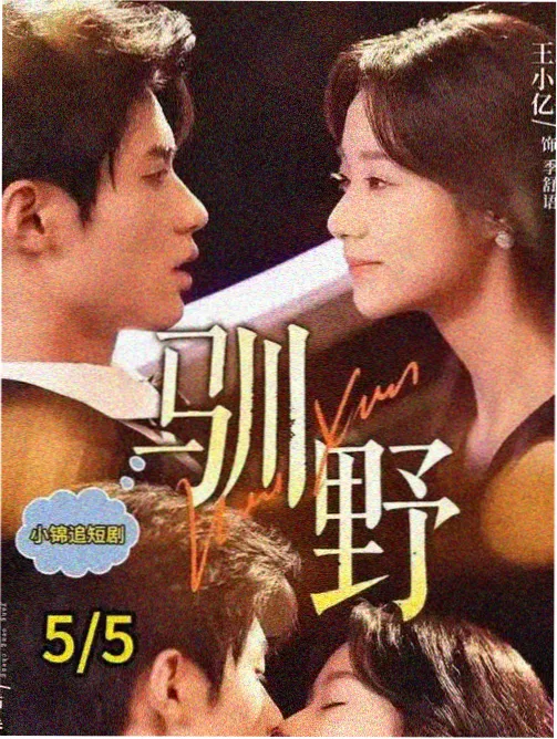 暗巷追凶小说封面